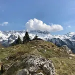 Rosa Апартаменты *