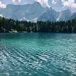 Rosa * Tarvisio