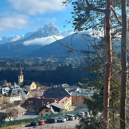 Rosa Tarvisio