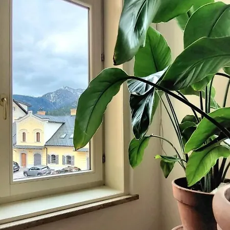 Rosa Apartment